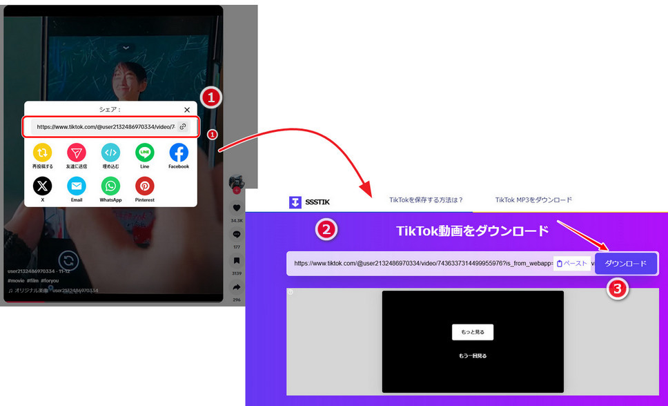 TikTokのURLをSSSTikTokに貼り付け